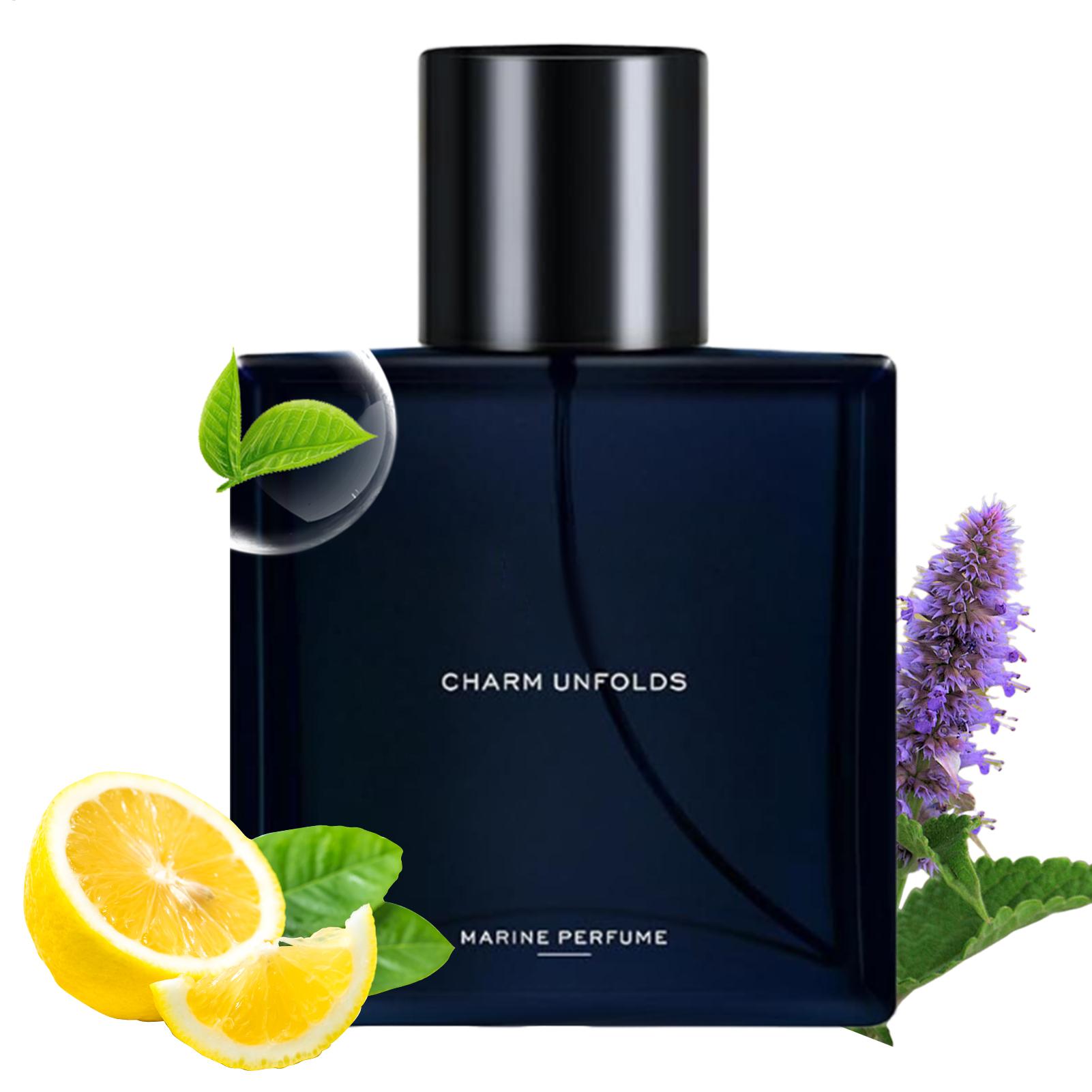 Perfume Fragrance Hair Spray - Mens Fragrances EDT Spray Natural Long-Lasting