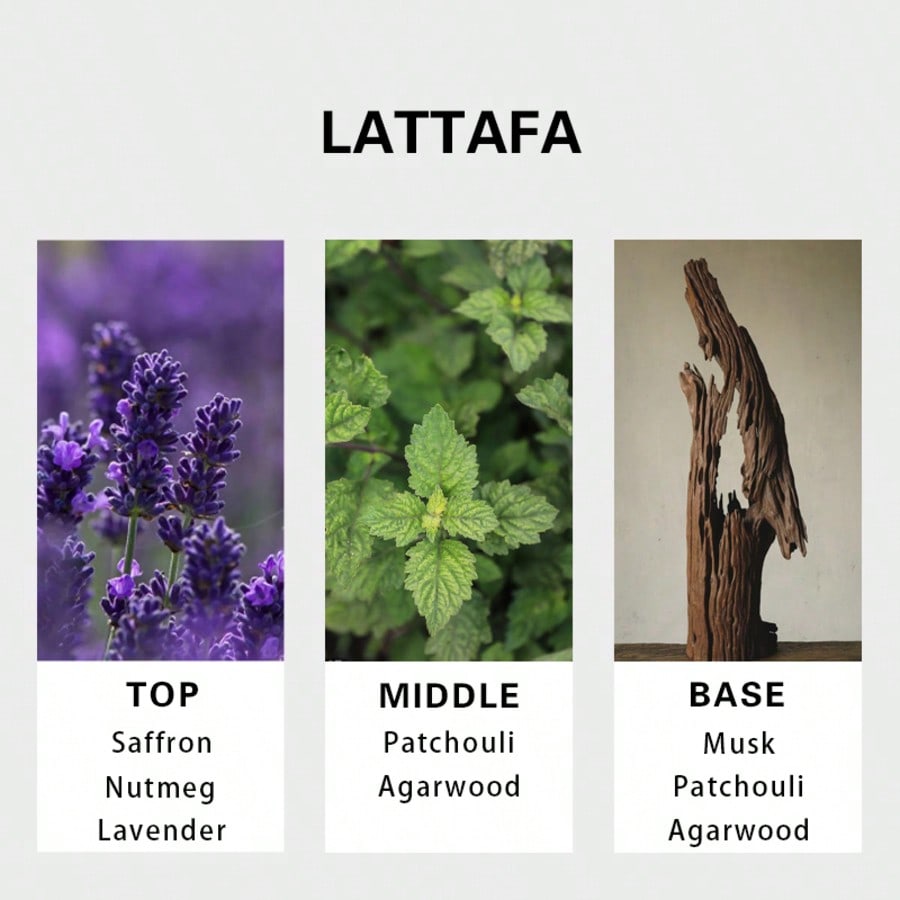 Lattafa Badee Al Oud For Glory - Perfume The Fragrance review and price